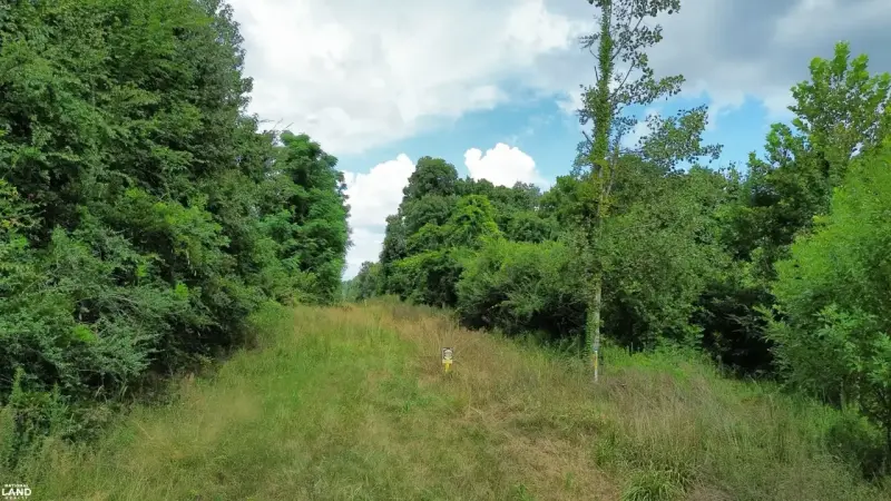 Residential Lot Clearing by EarthWorx